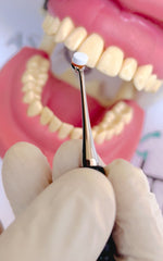 Dentoform