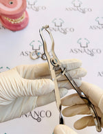 Ring Holder (D88)