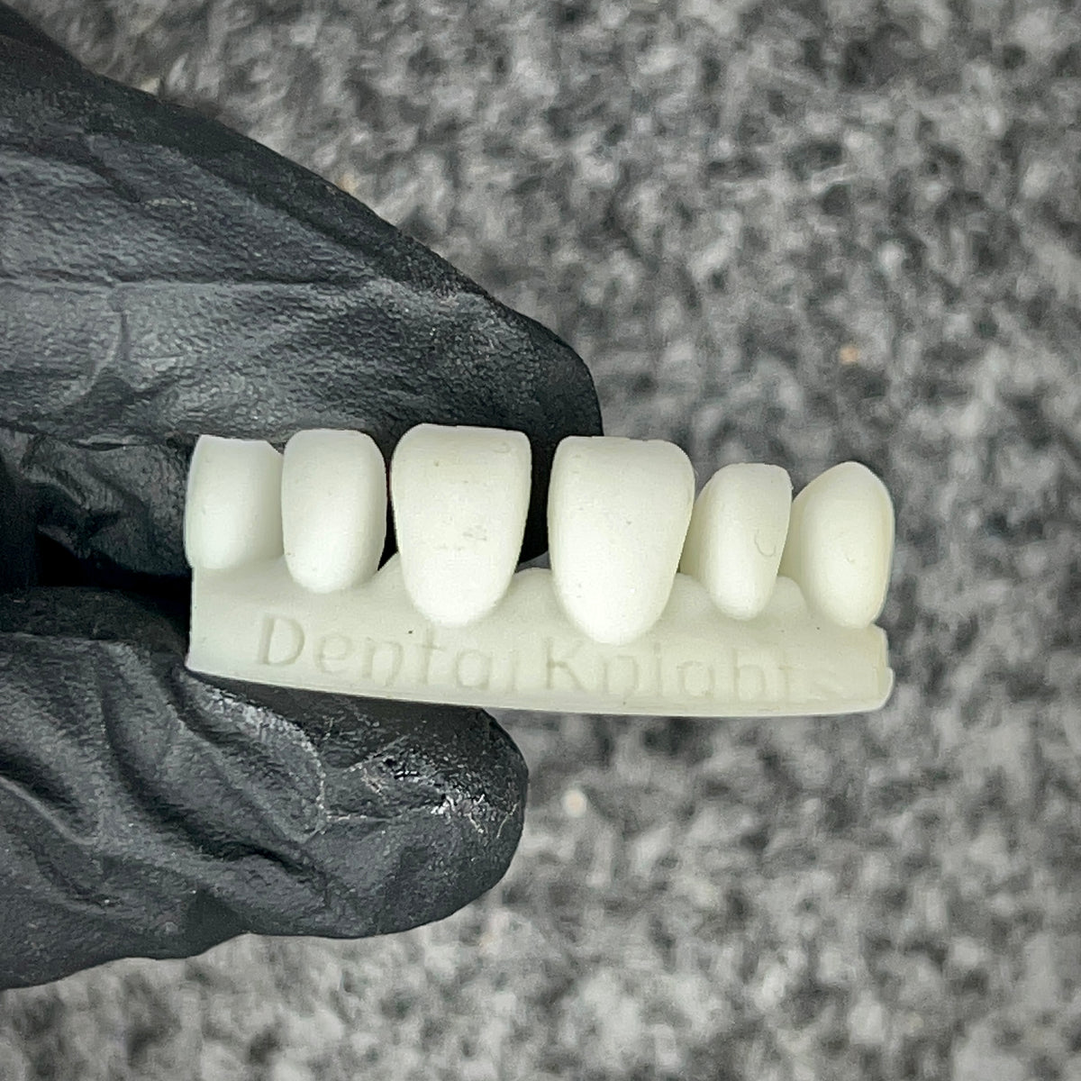Dental Training Casts