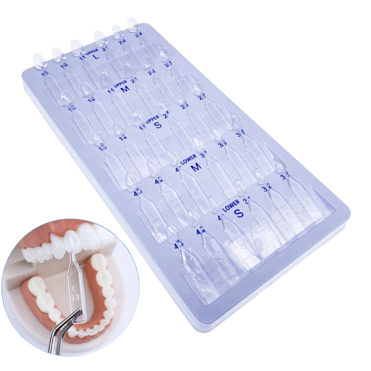 Direct composite Veneer Molding Kit (D31)