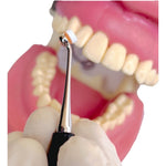 Dentoform