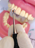 Dentoform