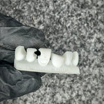 Dental Training Casts