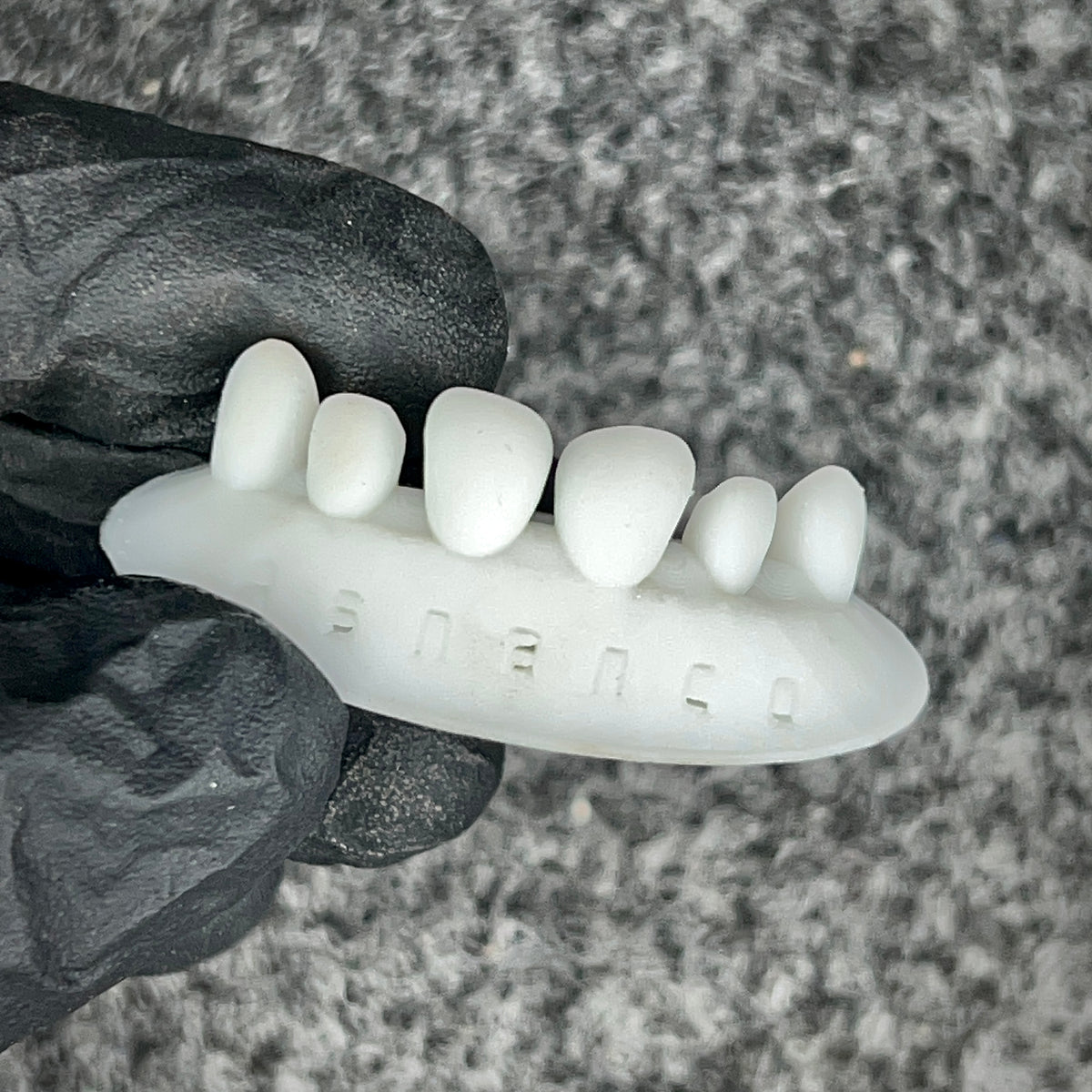 Dental Training Casts