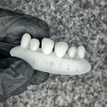 Dental Training Casts