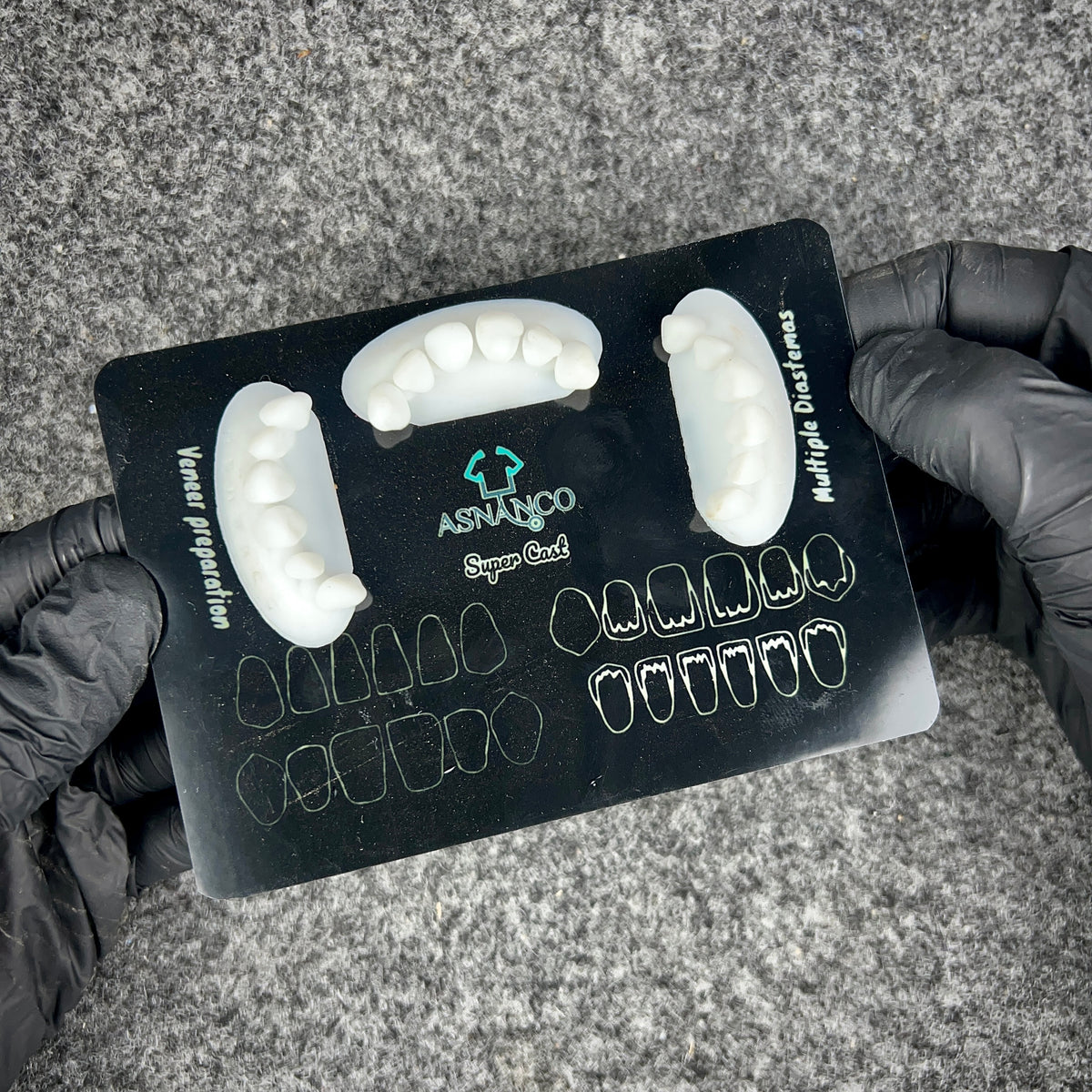 Dental Training Casts