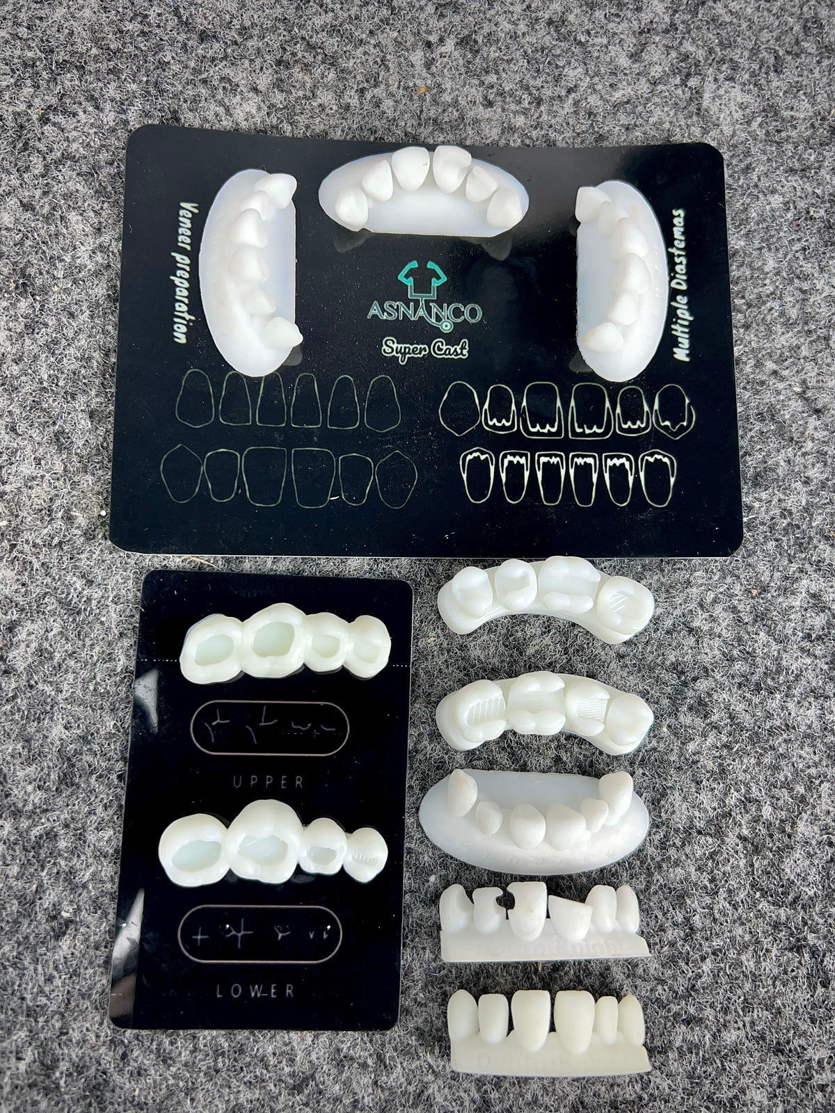 Dental Training Casts