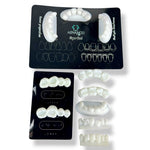 Dental Training Casts