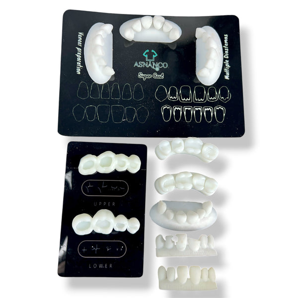 Dental Training Casts